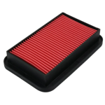 FILTRO AIRE CBF 125