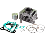 CILINDRO COMPLETO GRIS.VIVAX 115/REVO_KIT