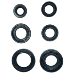 JUEGO DE RETENEDORES BOXER KT CT PLATINO