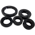 JUEGO DE RETENEDORES  PULSAR 135/NS150-160 / DISCOVER 125FD-100-100M2014-125 ST