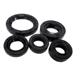 JUEGO DE RETENEDORES DISCOVER 125DTSi DISCOVER 135 KS/ES