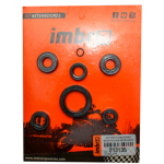 JUEGO DE RETENEDORES PULSAR 200 - 220