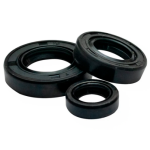 JUEGO DE RETENEDORES VICTORY ZS 125