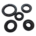 JUEGO DE RETENEDORES DYNAMIC 125 AKT