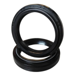 JUEGO DE RETENEDORES FZ 2.0