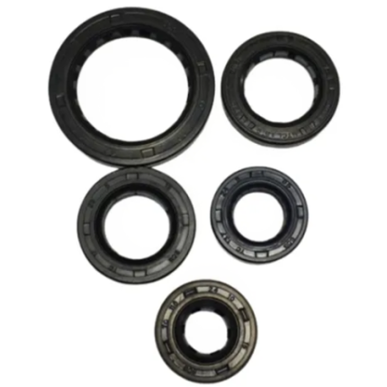 JUEGO DE RETENES AKT 100 S