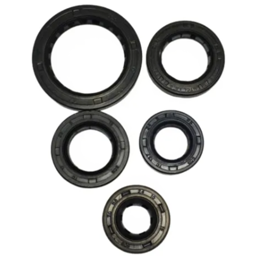 02737 JUEGO DE RETENES AKT 100 S - Imagen 1