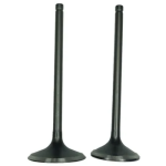 KIT VALVULAS ADM/ESC AK 180 TTX TTR CR5