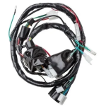 INSTALACION ELECTRICA AKITA C 100 WAVE