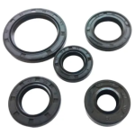 KIT RETENEDORES MOTOR AKT 110 RP