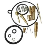 KIT CARBURADOR PLATINO 100