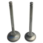 VALVULAS DE ADMISION Y/O ESCAPE VIVAX 115