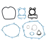 KIT COMPLETO PLATINO 110