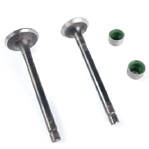 10904 VALVULA DE ADMISION Y ESCAPE BOXER CT 100 BM 100 PLATTINO 100 CALIBER 115 - Imagen 1
