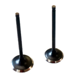 KIT VALVULAS ADMISION Y ESCAPE AKT CR5 180 TTR 180 TTX 180 200 ORIGINAL