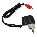 ENCENDIDO ELECTRONICO BWS