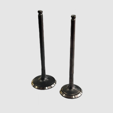 KIT VALVULAS DE ADIMISION Y ESCAPE TWIST 125 DYNAMIC 125