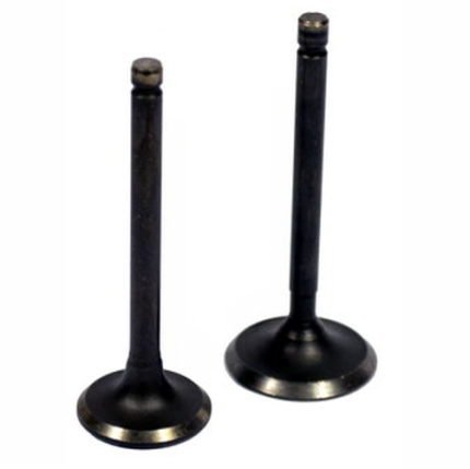 KIT VALVULAS DE ADIMISION Y ESCAPE GN 125H GS 125 GSX 150
