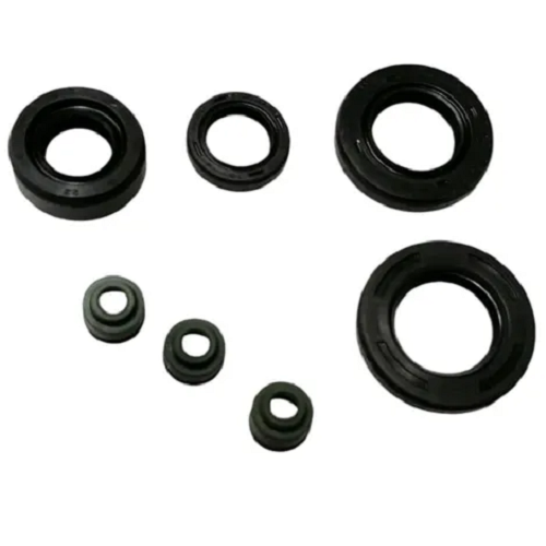 12296 KIT RETENES TVS APACHE 200 FI 160 4V - Imagen 1