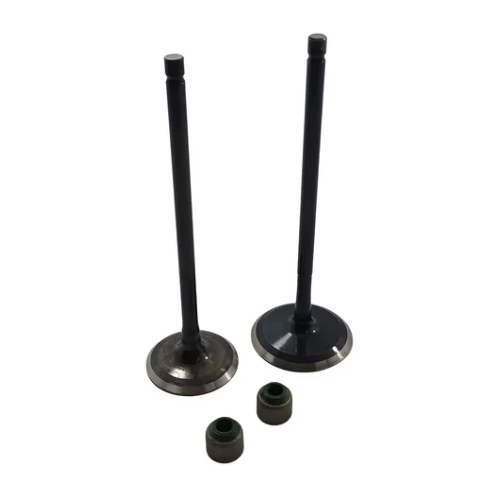 13625 VALVULAS DE ADMISION Y/O ESCAPE PULSAR 180 F.I. - Imagen 1