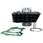 CILINDRO COMPLETO DISCOVER 125 ST SELLOS