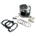 CILINDRO COMPLETO YC-Z110